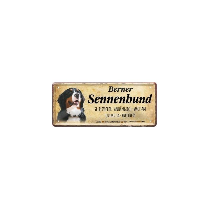 Berner Sennenhund - Metallschild