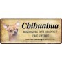 Chihuahua - Blechschild